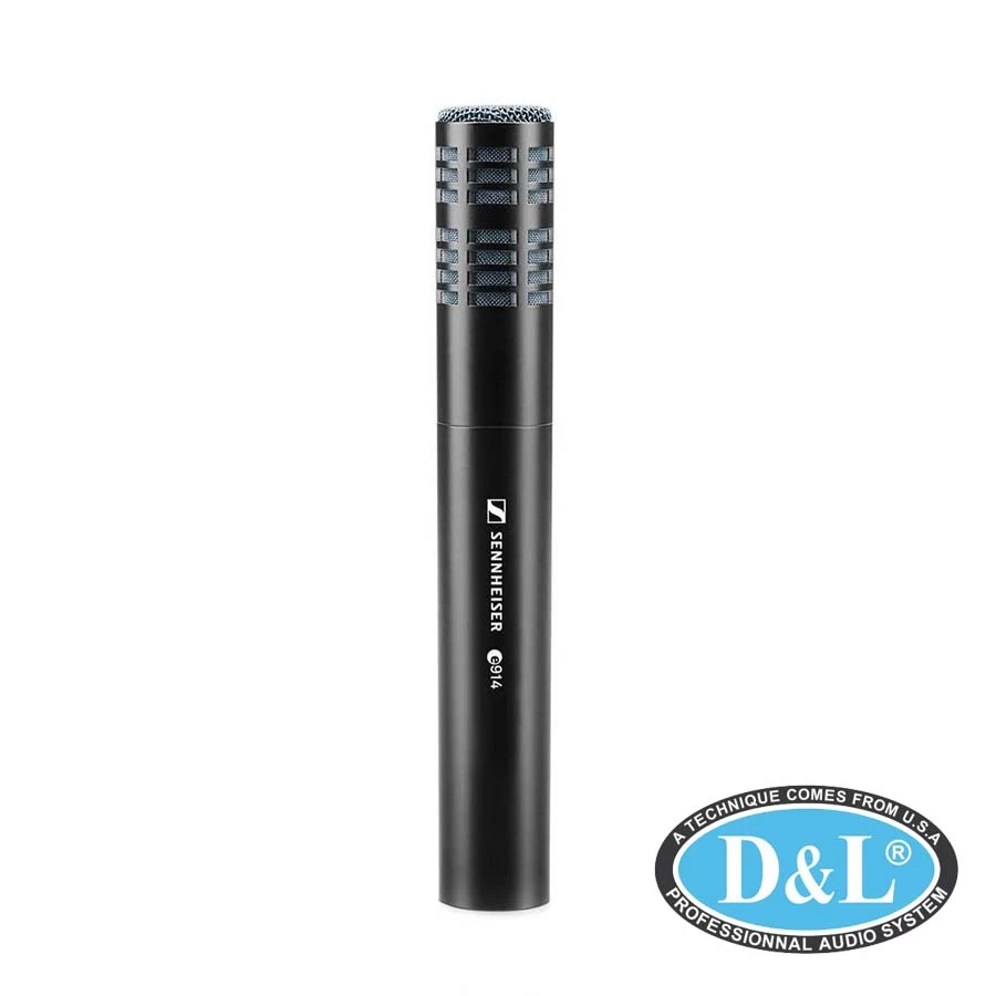 Micro Sennheisr E914