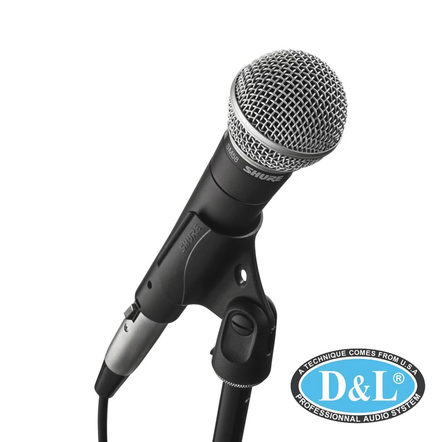 Micro Shure SM58